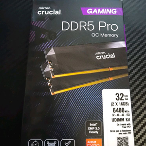 마이크론 크루셜 DDR5 PRO 6400 cl32 32기가 이미지