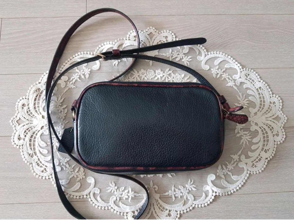 코치 파이톤배색 더블집 크로스백 이미지