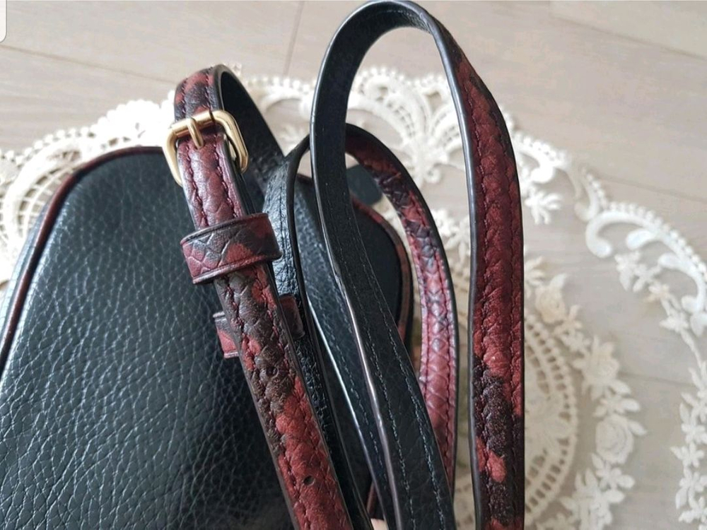 코치 파이톤배색 더블집 크로스백 이미지