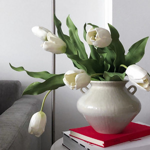 애머랜틴블룸스 라운드버드 화이트튤립6송이 이미지