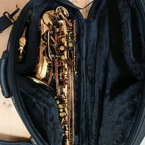 케논볼 고디바 알토색소폰 분양 /가격인하 이미지