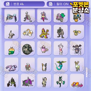 이로치 & 실전 포켓몬 소드실드 분양 / 챔피언스 포챔스 이미지