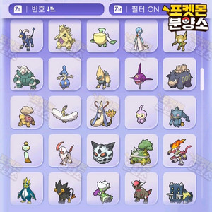 이로치 & 실전 포켓몬 브다샤펄 분양 / 챔피언스 포챔스 이미지