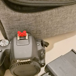 캐논EOS 200d 18-55mm번들셋,애기만두,시그마판매 이미지