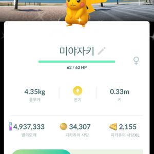 포켓몬고 미야자키 배경 이로치 피카츄 판매 이미지