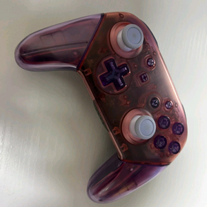 닌텐도스위치 정품 프로콘 프로컨트롤러 설죽향님 하우징 이미지