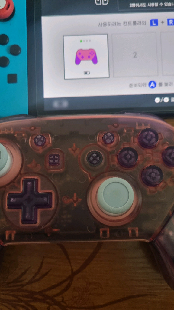 닌텐도스위치 정품 프로콘 프로컨트롤러 설죽향님 하우징 이미지