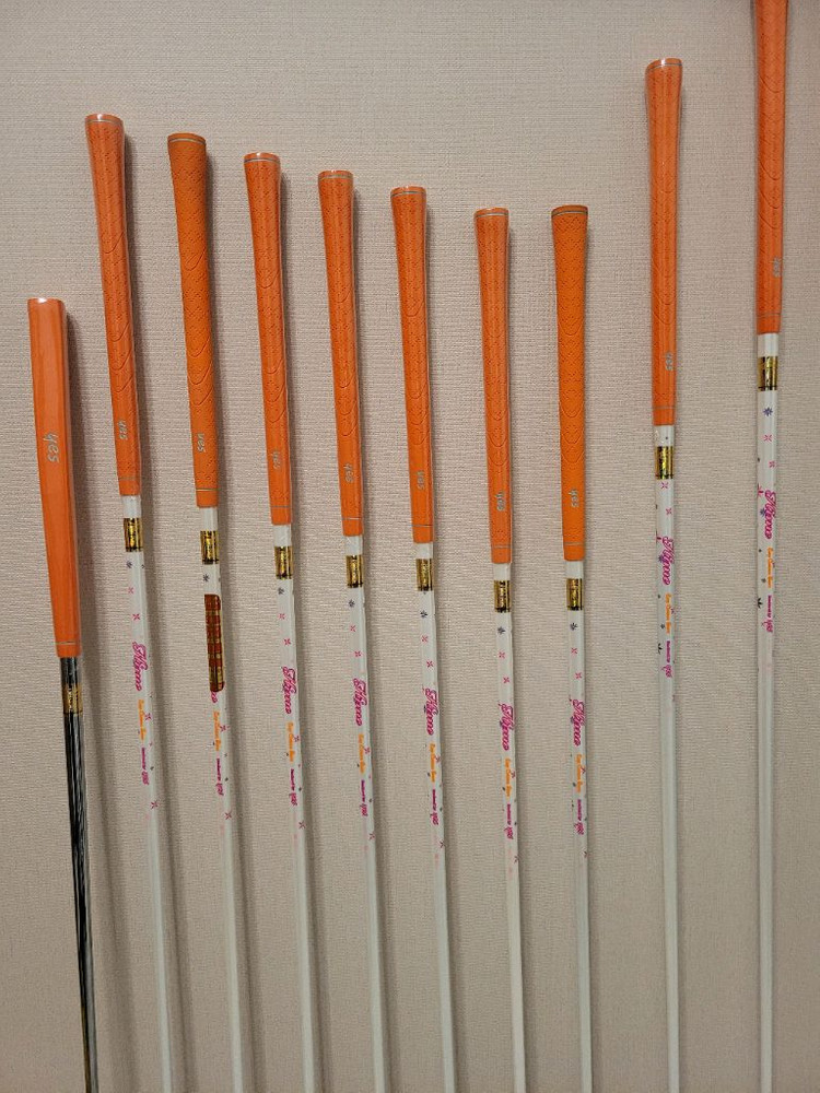 + 예스히메 + 여성용 골프채 풀세트 이미지