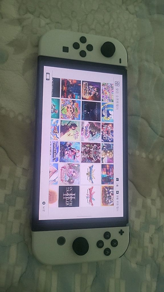 닌텐도스위치 OLED 1테라 커펌 이미지