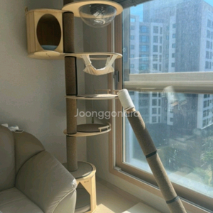 원목 캣폴 캣타워 (배송가능) 이미지