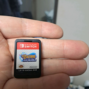 닌텐도 스위치 별의커비 스타 얼라이즈 알칩 이미지