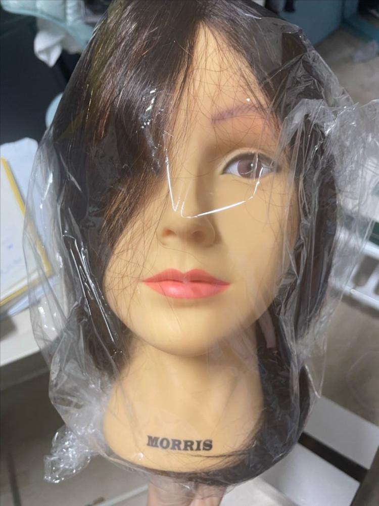 통가발 일괄 프로아,모리스 이미지