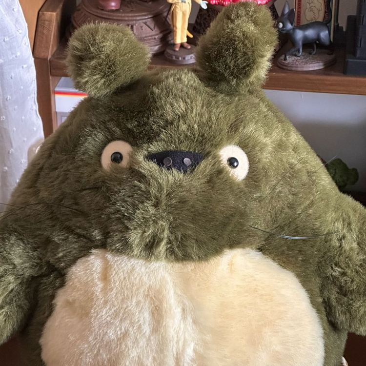 고전 녹색 대형 토토로 이미지