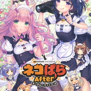 미연시 네코파라 after 한정 패키지판 판매합니다 이미지