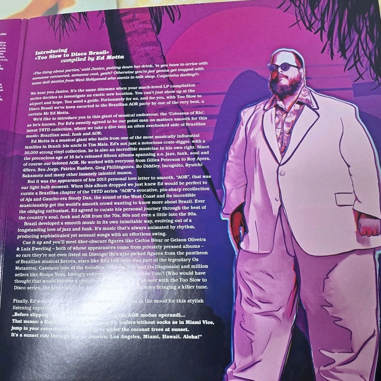 Ed Motta - Too Slow to Disco Brasil LP (판매) 이미지