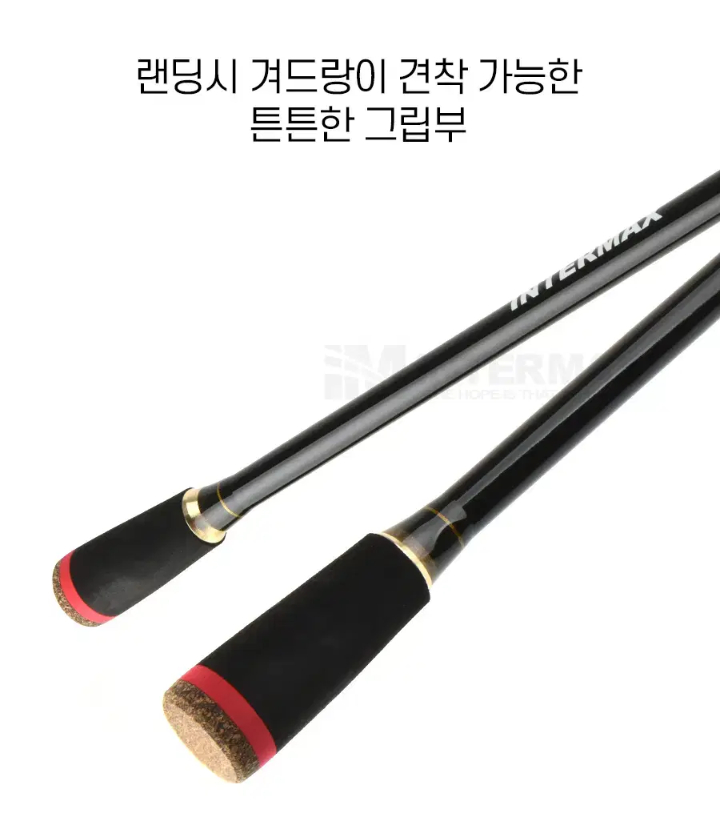 텐빈준내만갈치,한치,갑오징어선상루어낚시대 B210 이미지