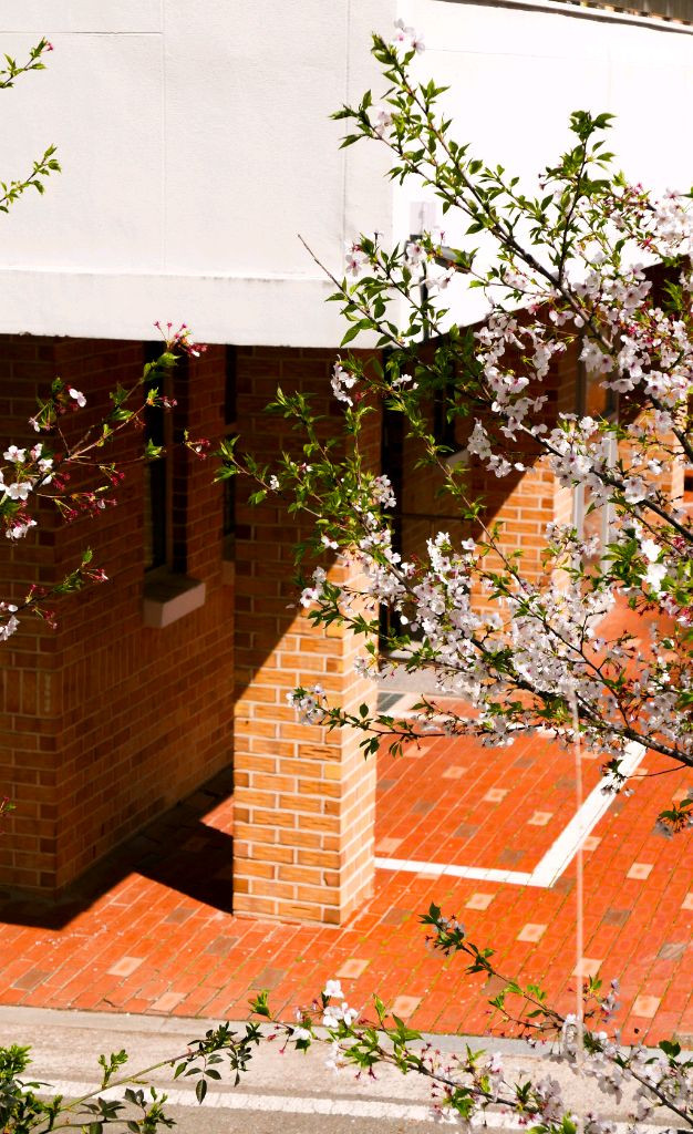 파나소닉 루믹스 Lx100 실버 이미지