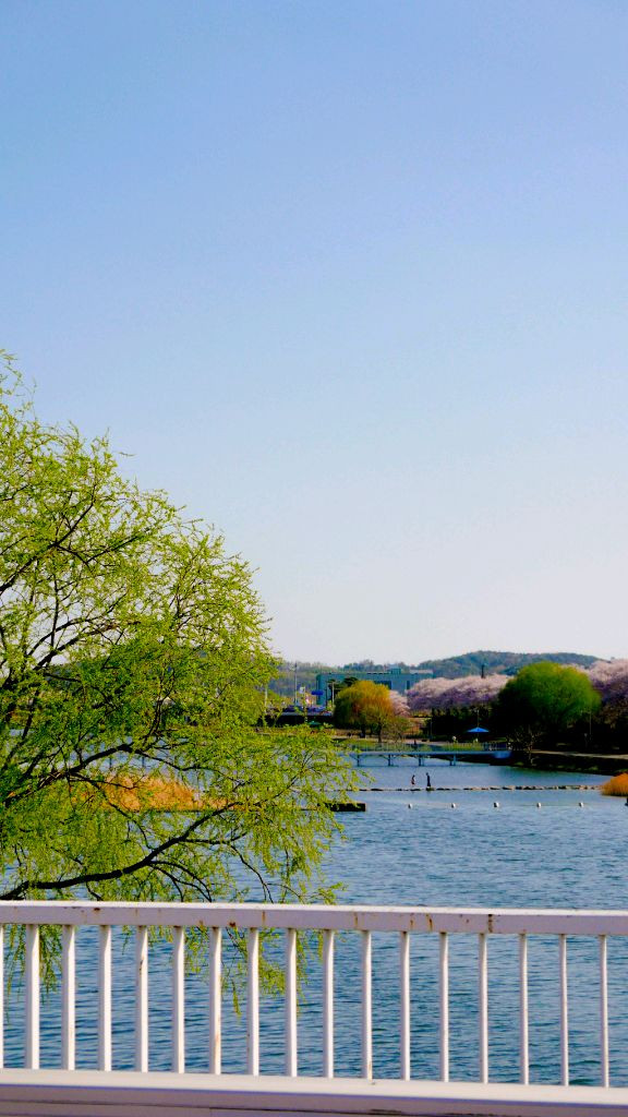 파나소닉 루믹스 Lx100 실버 이미지