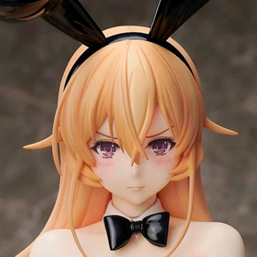 프링 1/4 식극의 소마 에리나 바니걸 미개봉 + 초마신 류진마루 부분 도색완성작 포함 총6종 이미지