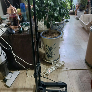 접이식 캐리어 이미지
