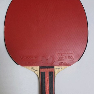 탁구라켓 이미지