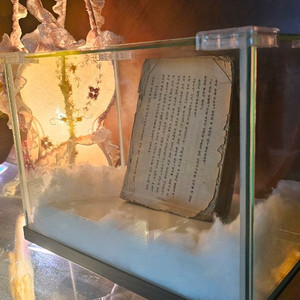 마지막 개인소장본!! 춘원 이광수 무정 초기 발행본 이미지