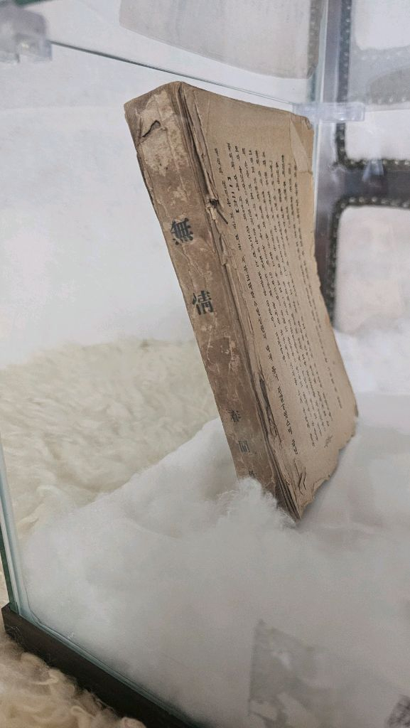 마지막 개인소장본!! 춘원 이광수 무정 초기 발행본 이미지