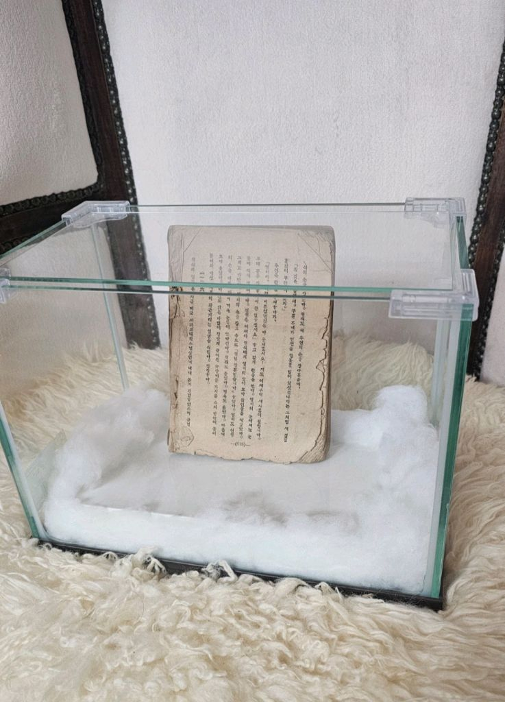 마지막 개인소장본!! 춘원 이광수 무정 초기 발행본 이미지