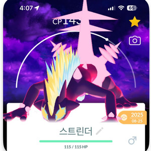 포켓몬고 거다이맥스 자흑배경 스트린더 판매 이미지