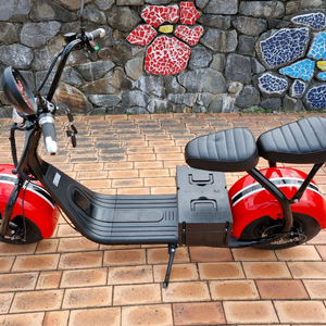 필립스 할리2인용 전기스쿠터 이미지
