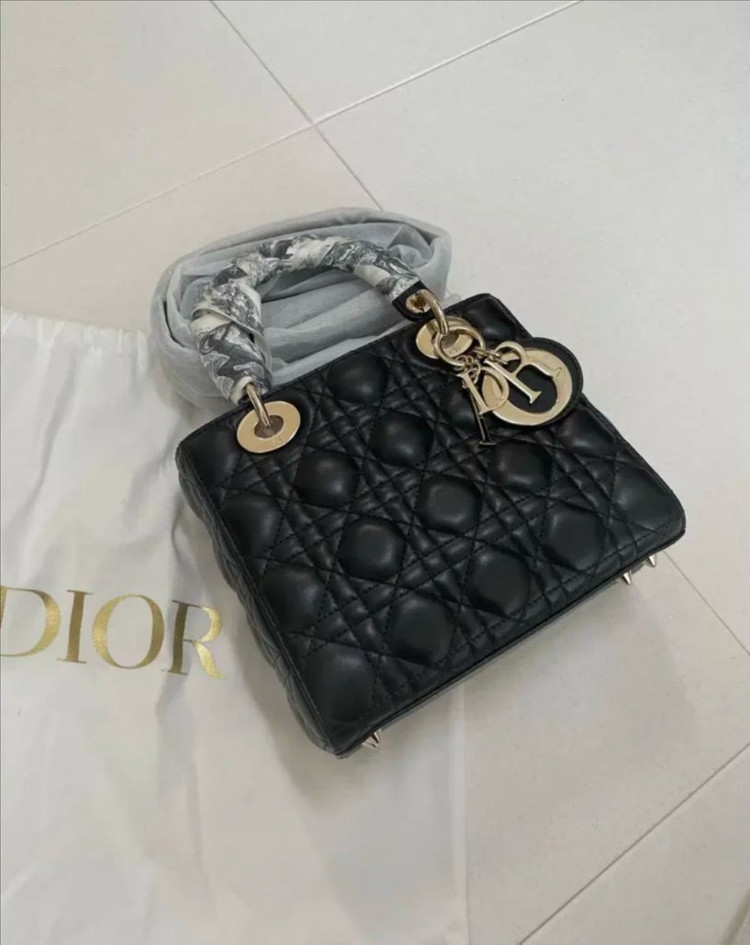 디올 레이디백 스몰 정품 이미지