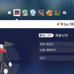 닌텐도 포켓몬 za 수작업 직접포획 이로치 팝니다에딧x 이미지