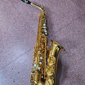 알토 색소폰 이미지