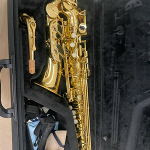 야마하 YAS-480 알토 색소폰 (정품) 이미지