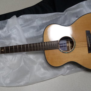 헥스(HEX) Sting F350G 어쿠스틱 통기타 팝니다. 이미지