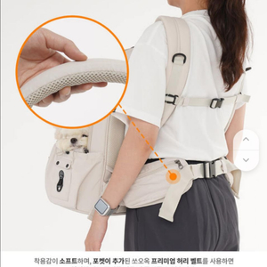 쏘오옥 허리벨트 이미지