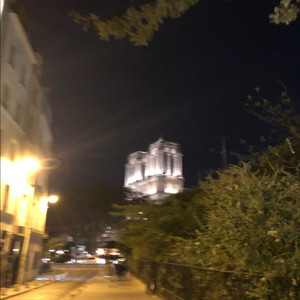 말론 벚꽃 에디션 핑크 이미지