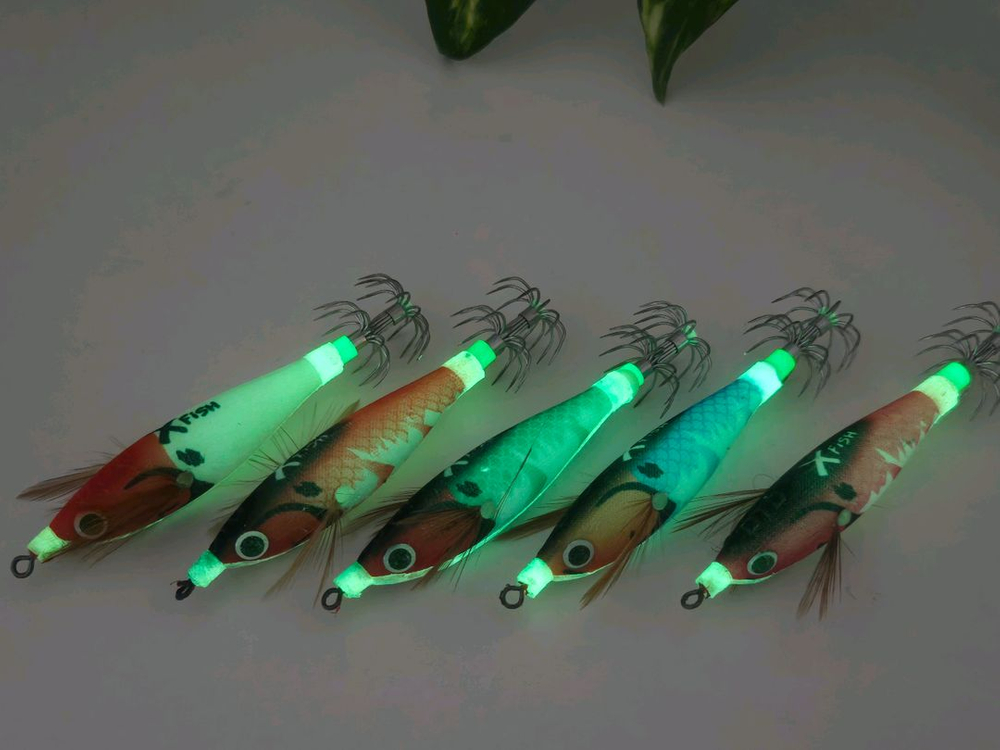 쭈갑에기 쭈꾸미 갑오징어 야광 에기 세트 (5개 케이스 포함) 이미지