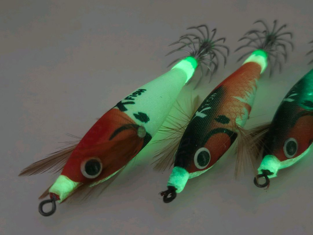 쭈갑에기 쭈꾸미 갑오징어 야광 에기 세트 (5개 케이스 포함) 이미지