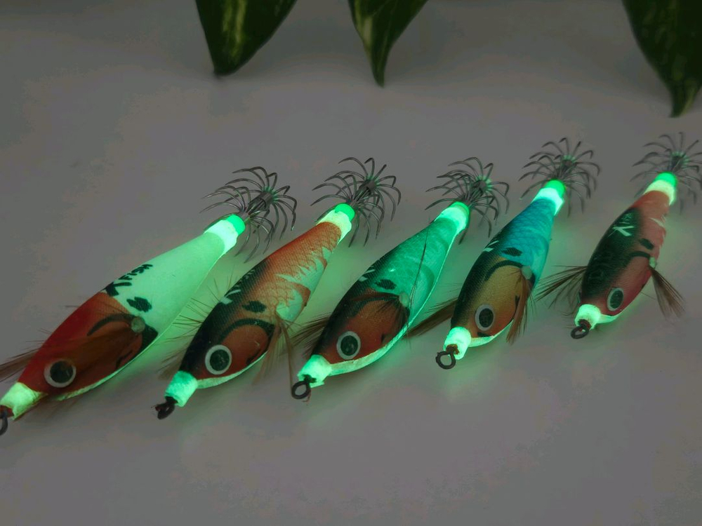 쭈갑에기 쭈꾸미 갑오징어 야광 에기 세트 (5개 케이스 포함) 이미지