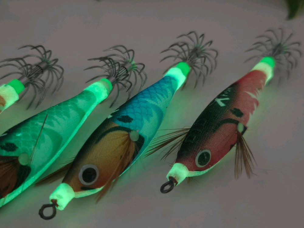 쭈갑에기 쭈꾸미 갑오징어 야광 에기 세트 (5개 케이스 포함) 이미지