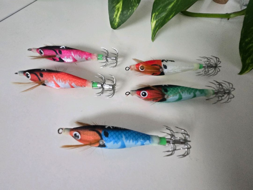 쭈갑에기 쭈꾸미 갑오징어 야광 에기 세트 (5개 케이스 포함) 이미지