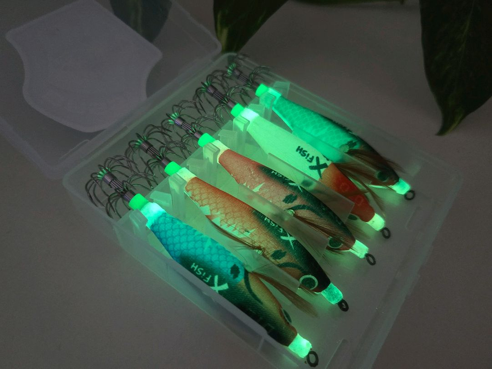 쭈갑에기 쭈꾸미 갑오징어 야광 에기 세트 (5개 케이스 포함) 이미지