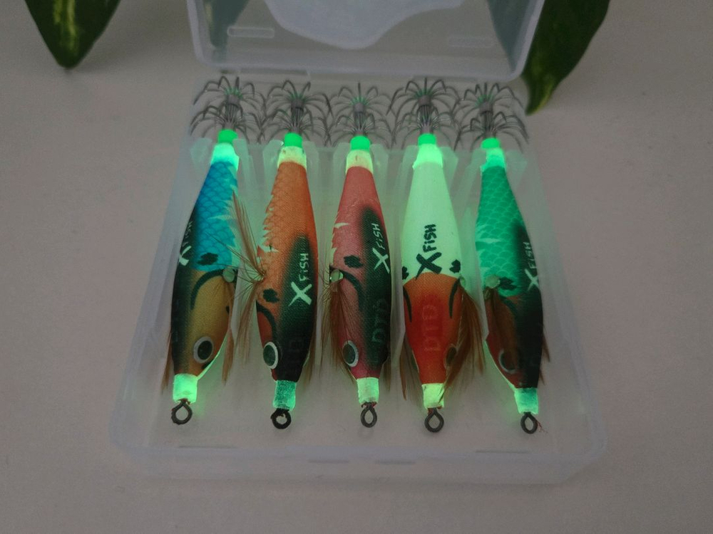 쭈갑에기 쭈꾸미 갑오징어 야광 에기 세트 (5개 케이스 포함) 이미지