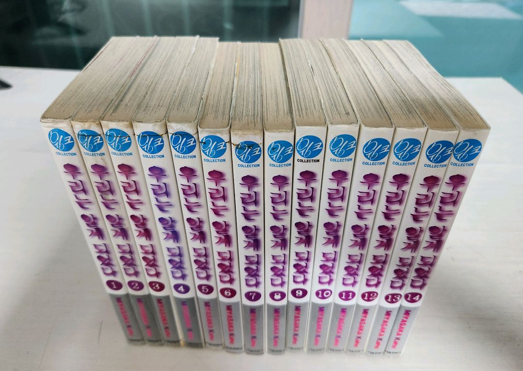 [순정만화책] 우리는 알게 되었다 전권 14권 완결 이미지