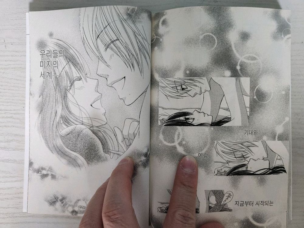 [순정만화책] 우리는 알게 되었다 전권 14권 완결 이미지
