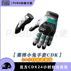 배그 스킨 사이버래빗 장갑 이미지