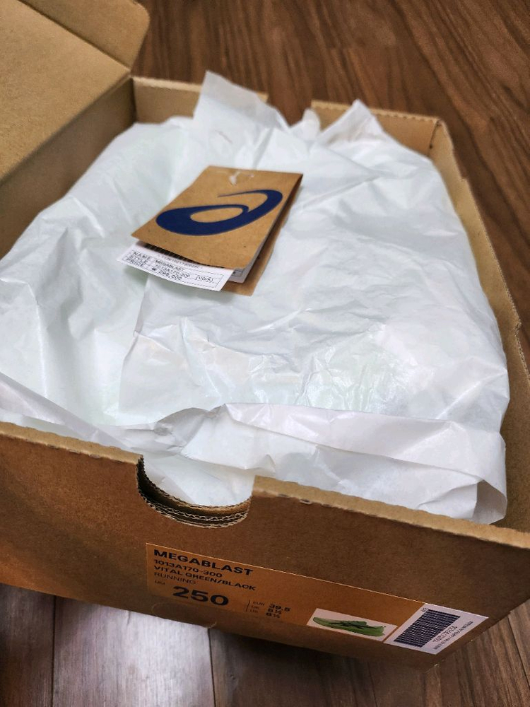 아식스 메가블라스트 250. 이미지