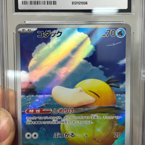 포켓몬카드 메가드림 고라파덕 일판 cgc10 이미지