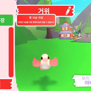 입양하세요 펫 메가네온 거위(메거위) 판매합니다 이미지